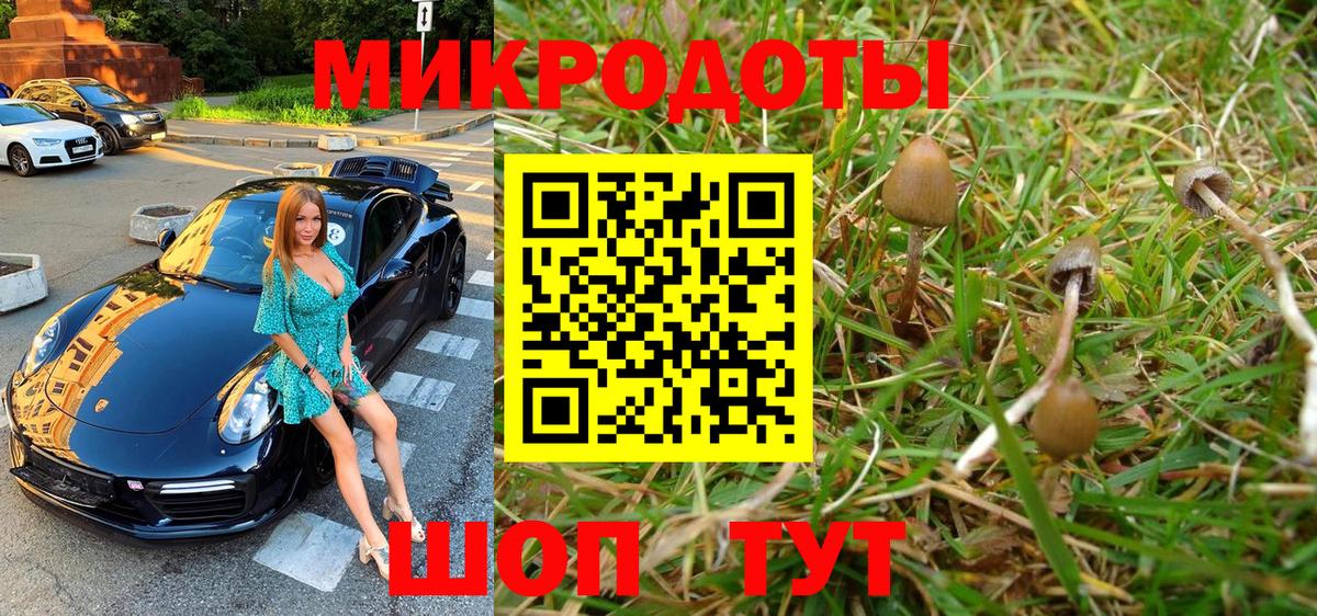Комсомольск-на-Амуре  Псилоцибиновые грибы Psilocybine cubensis  где купить наркоту  Вход с VPN 